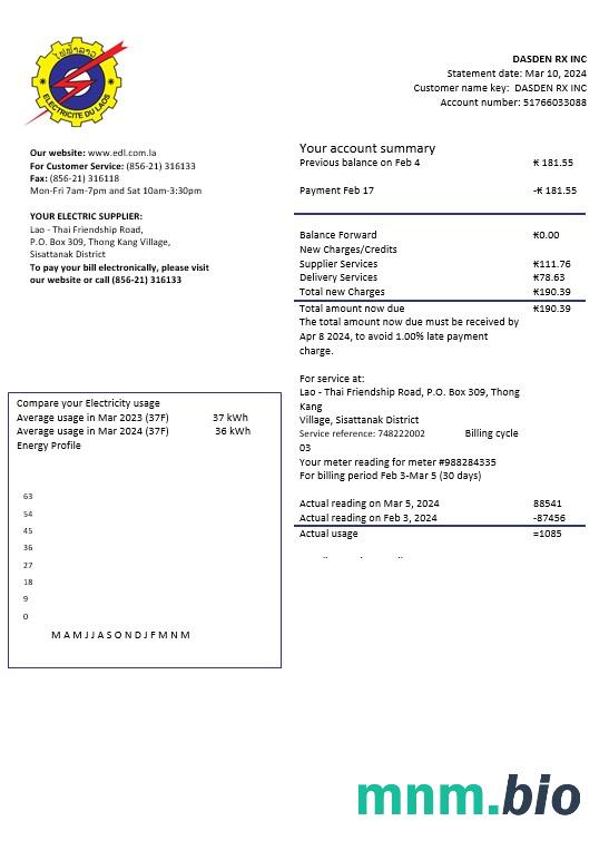 Laos Electricite du Laos szablon rachunku za energię elektryczną w formatach Word i PDF